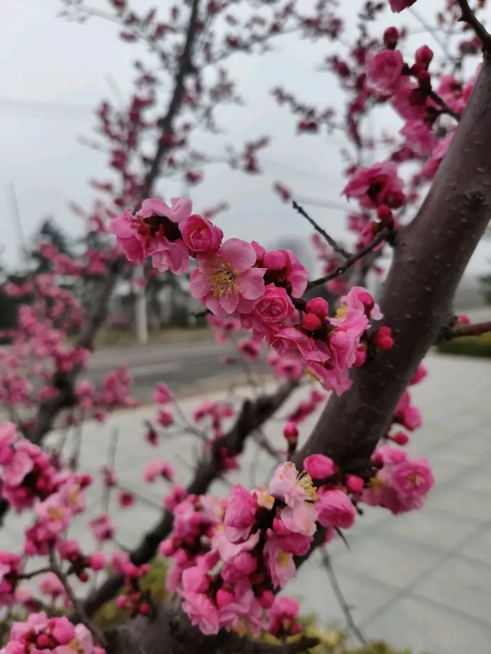 2026年中考作文素材积累及运用指南(主题聚焦:责任担当) 第2张 2026年中考作文素材积累及运用指南(主题聚焦:责任担当) 第2张