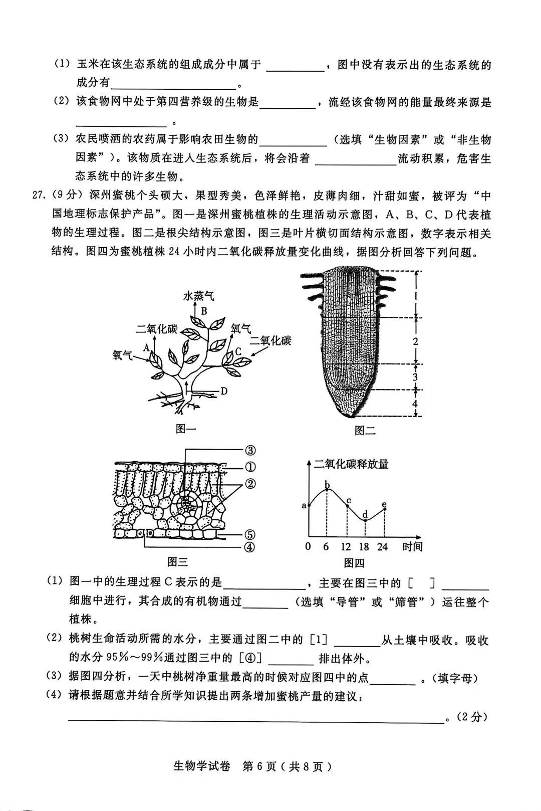 2025年河北中考生物模拟卷 第6张