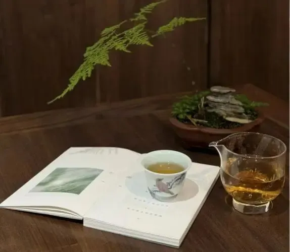 【中考阅读指导】人生若茶(黄聪) 第7张 【中考阅读指导】人生若茶(黄聪) 第7张