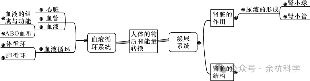 【中考复习】生物专题知识点⑥: 人体的物质和能量转换 第6张 【中考复习】生物专题知识点⑥: 人体的物质和能量转换 第6张