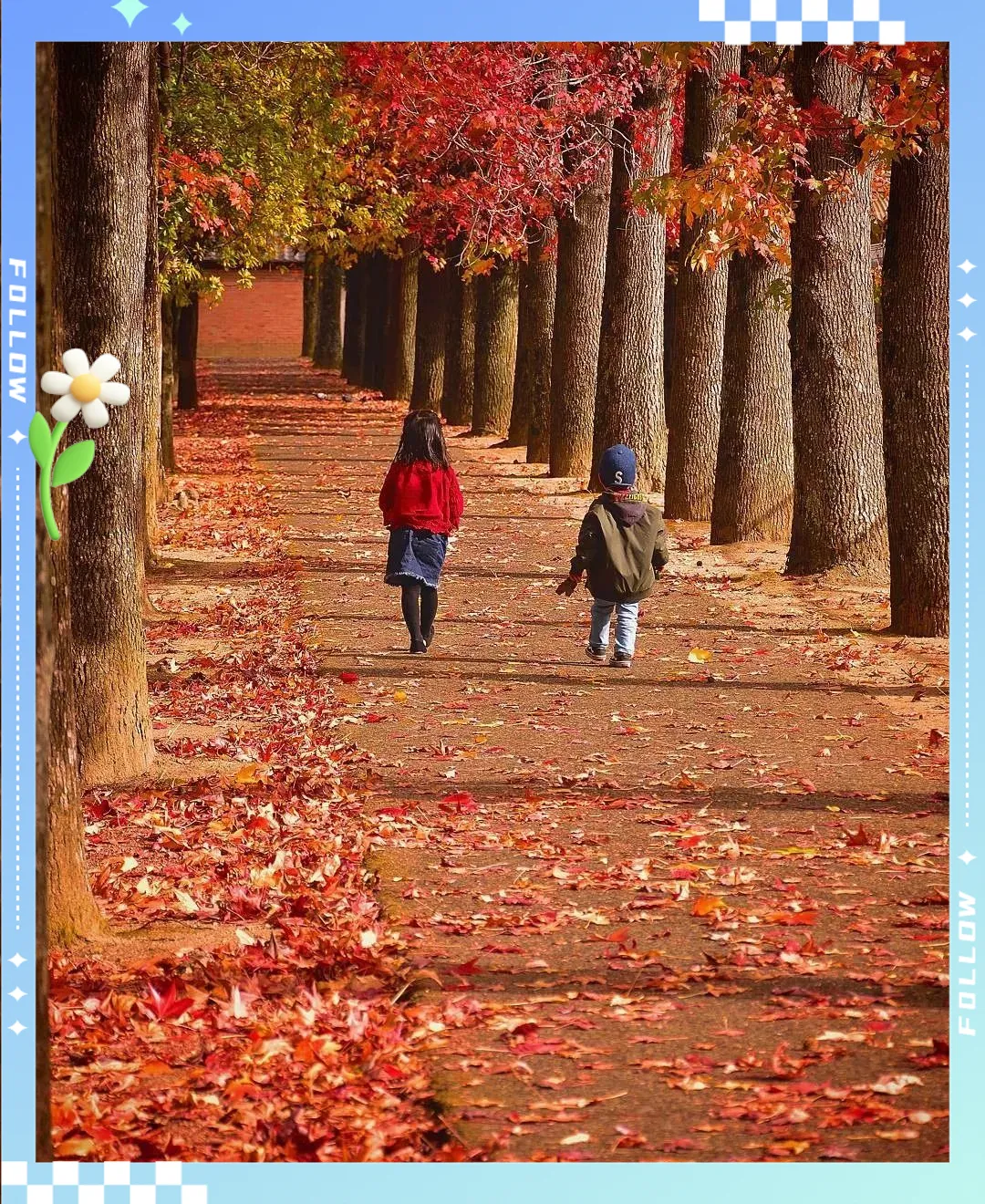 2026中考作文预测及范文:奔赴一场___的旅程 第2张