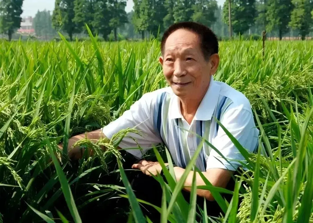 中考议论文|留下印记,展现风采 第2张