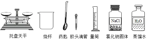2026中考实战篇 | 专项02 基础实验-2026年中考化学 专项训练(解析版) 第13张