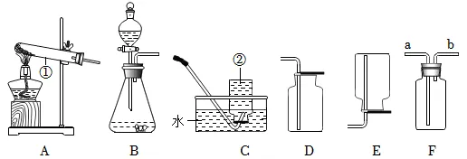 2026中考实战篇 | 专项02 基础实验-2026年中考化学 专项训练(解析版) 第17张