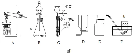 2026中考实战篇 | 专项02 基础实验-2026年中考化学 专项训练(解析版) 第20张