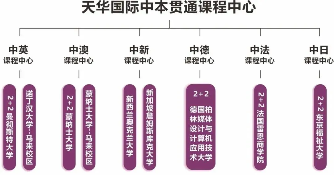 中考倒计时百天,成绩还在普高线徘徊?除了“挤”中本贯通,上海家长还有这个新选择! 第9张