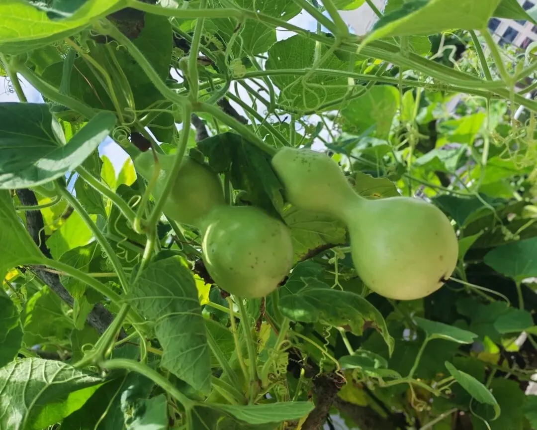 骜竹五班 第79期 中考第3天 去考场吧,少年们! 第24张 骜竹五班 第79期 中考第3天 去考场吧,少年们! 第24张