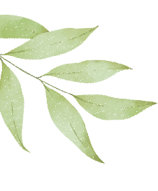 骜竹五班:第18期 共赴中考之约 第21张 骜竹五班:第18期 共赴中考之约 第21张