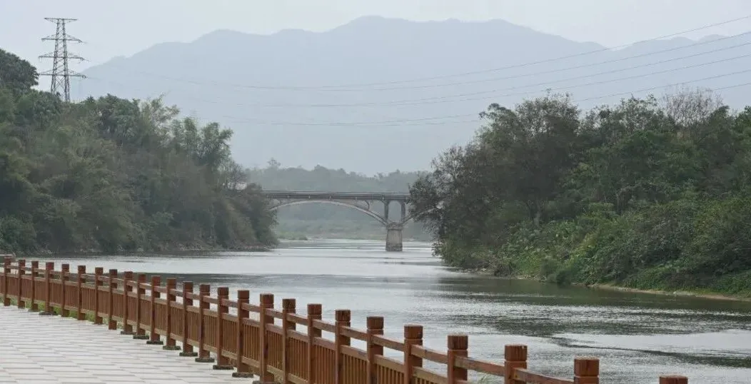 阳江2026年中考时间确定 第10张