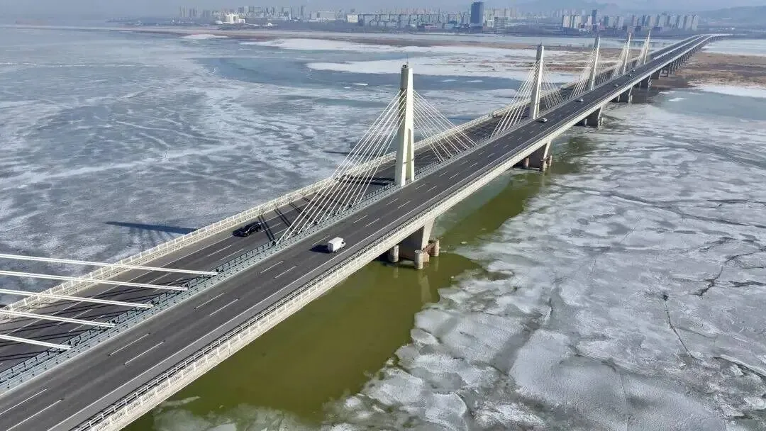 【中考阅读指导】黄河魂(聂还贵)山东烟台2025 第5张