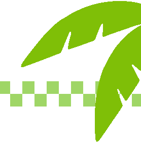 中考英语词汇 第3张 中考英语词汇 第3张