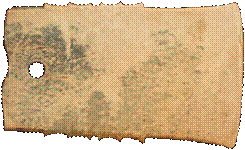 【每日一练544】深圳中考历史 第4张