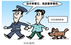 2026年中考道法法律类主观题60题(学生版) 第10张 2026年中考道法法律类主观题60题(学生版) 第10张