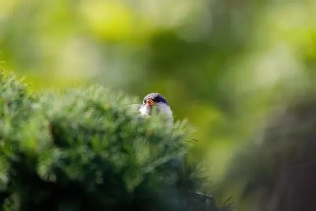 中考家长:寒假最后3天,我没催孩子,只做了这4件事 第1张