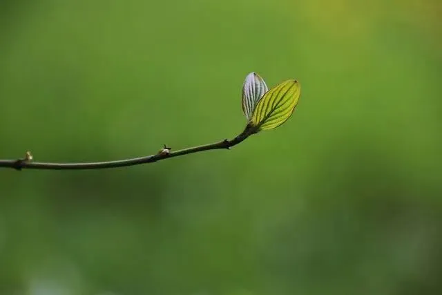 中考家长:寒假最后3天,我没催孩子,只做了这4件事 第2张