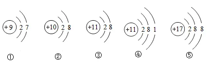 2026中考实战篇 | 专项03 化学用语-2026年中考化学 专项训练(解析版) 第2张 2026中考实战篇 | 专项03 化学用语-2026年中考化学 专项训练(解析版) 第2张