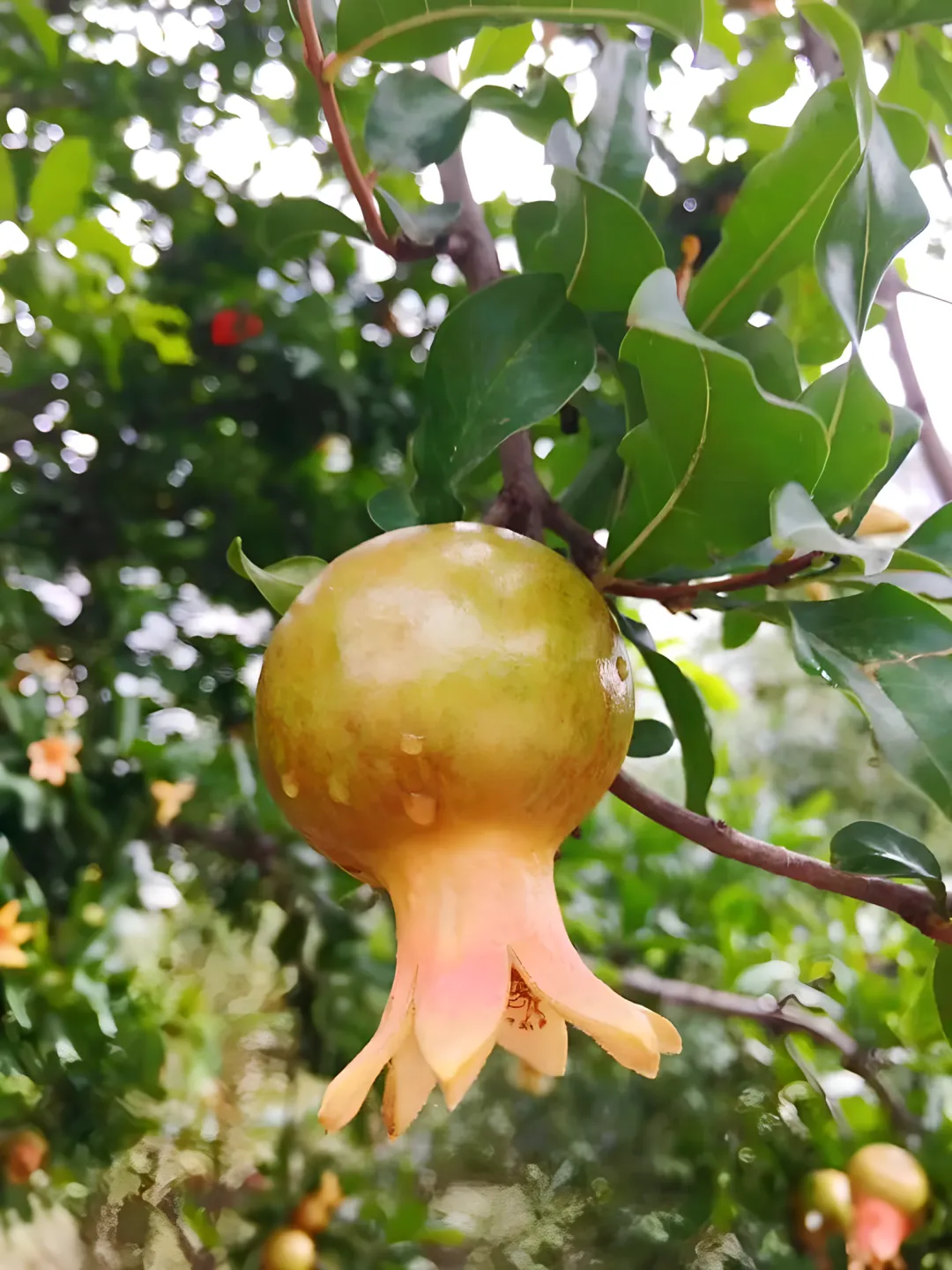 中考作文真题PK 第1张