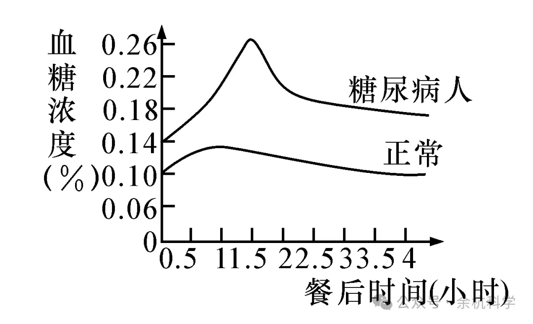 【中考复习】生物专题知识点⑦:生命活动的调节 第10张