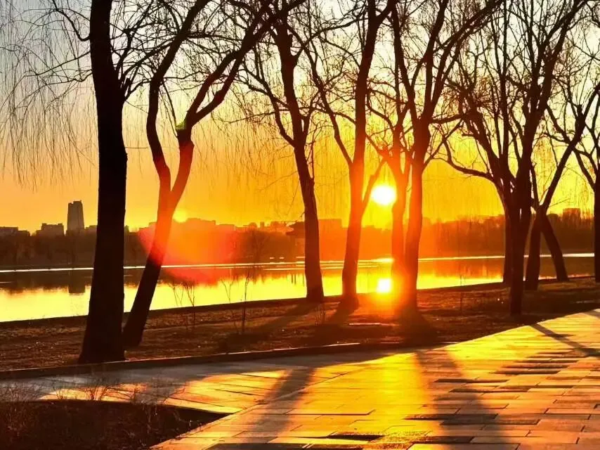 距离中考,只剩三个月,希望双胞胎姑娘金榜题名,考上重点高中 第2张