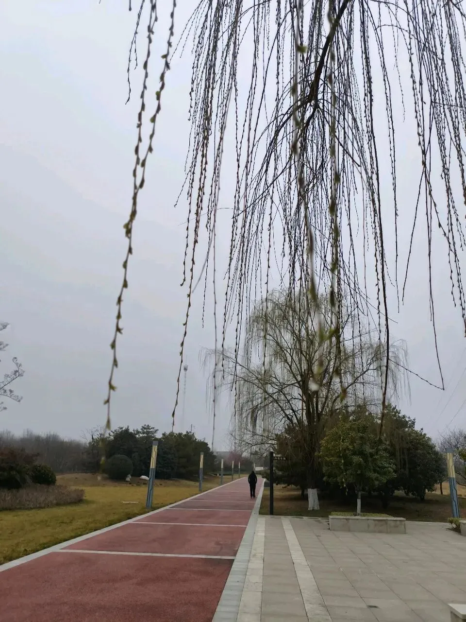 2026年中考作文素材积累及运用指南(主题聚焦:自我认同) 第2张