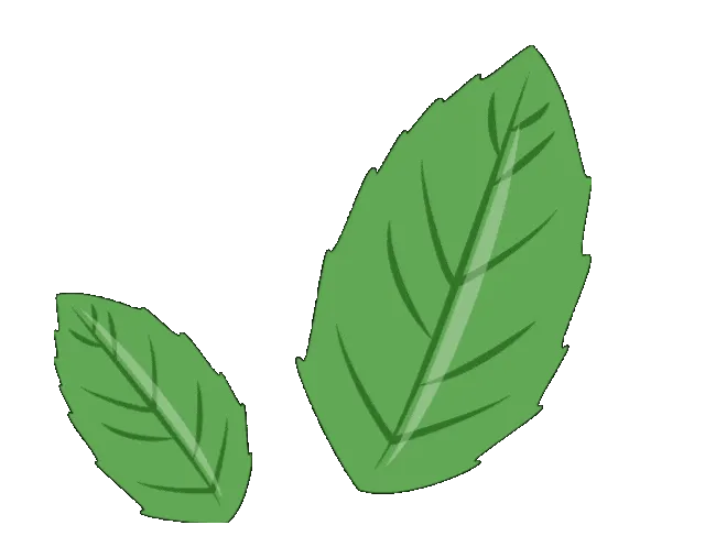 【中考专项精品试题分类】化学资料 第22张