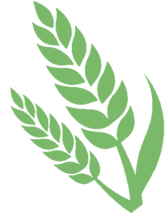 划重点啦!镇江中考体检注意啥 第5张 划重点啦!镇江中考体检注意啥 第5张