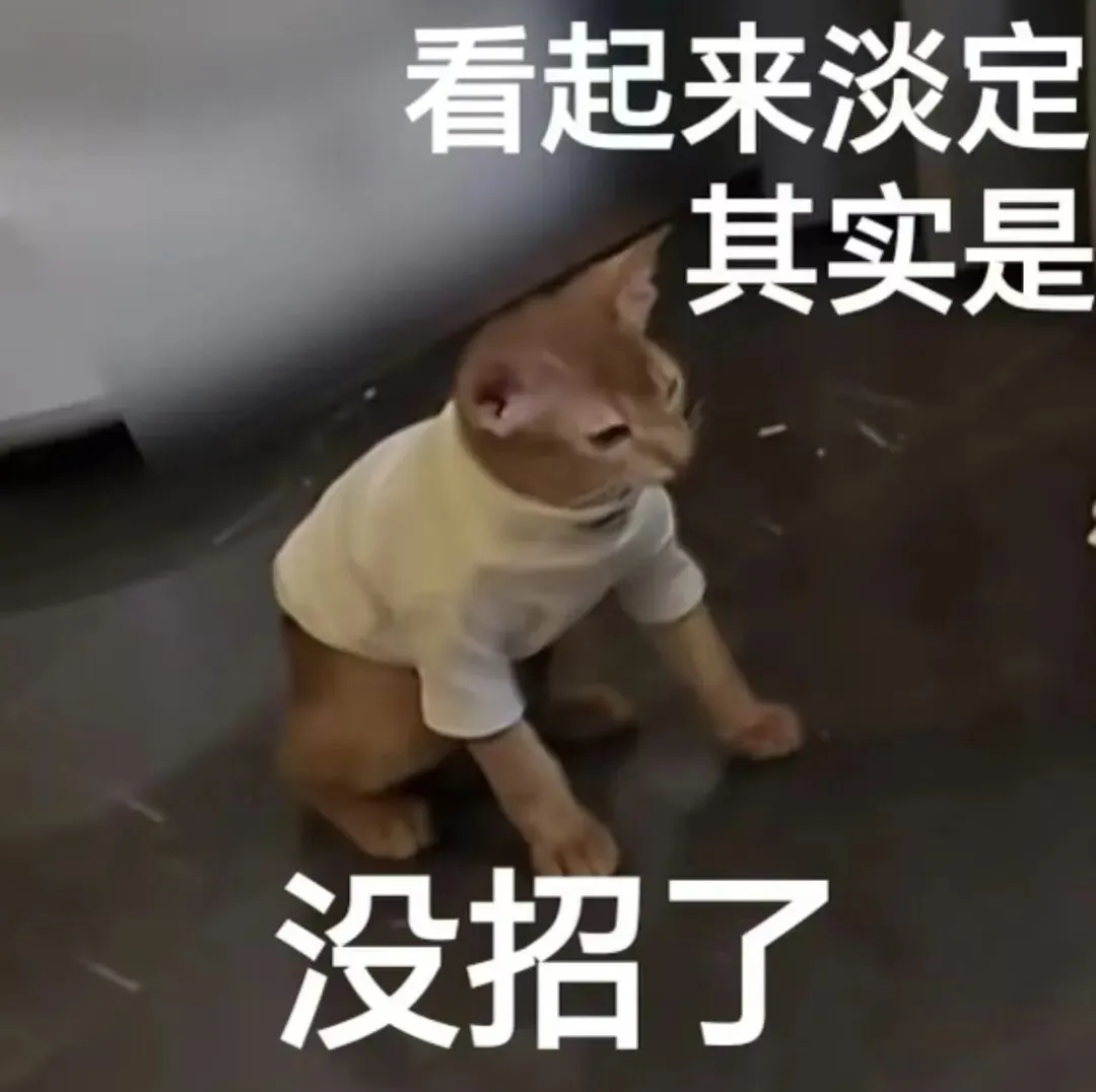 【宁波中考】宁波将迎“超短学期”,收心指南来了→ 第2张 【宁波中考】宁波将迎“超短学期”,收心指南来了→ 第2张