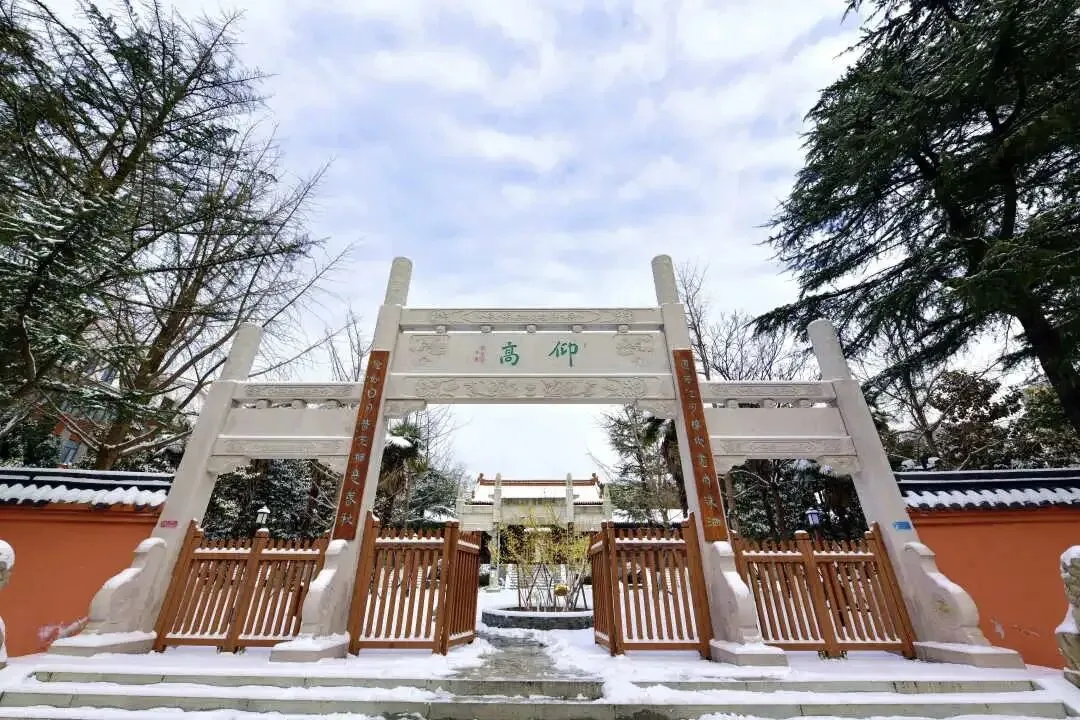 宿迁钟吾初中历届中考情况/班级设定/提前招生详细分析 第3张 宿迁钟吾初中历届中考情况/班级设定/提前招生详细分析 第3张