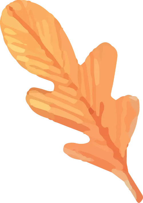 覆盖中考重点!初中英语10大主题词汇系统整理(300词) 第32张