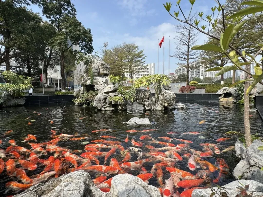 20260226 初三开学前要完成这些中考准备 第1张 20260226 初三开学前要完成这些中考准备 第1张