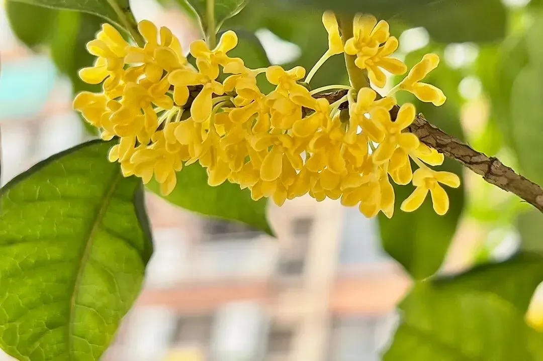 天津美术中考全知道 第1张 天津美术中考全知道 第1张