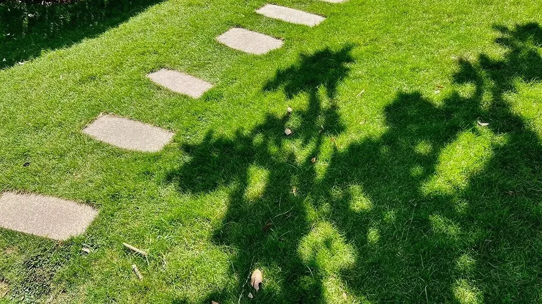 天津美术中考全知道 第11张 天津美术中考全知道 第11张