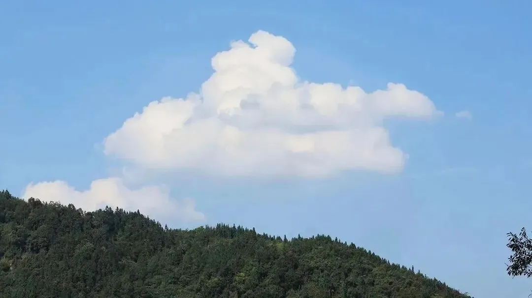 天津美术中考全知道 第26张 天津美术中考全知道 第26张