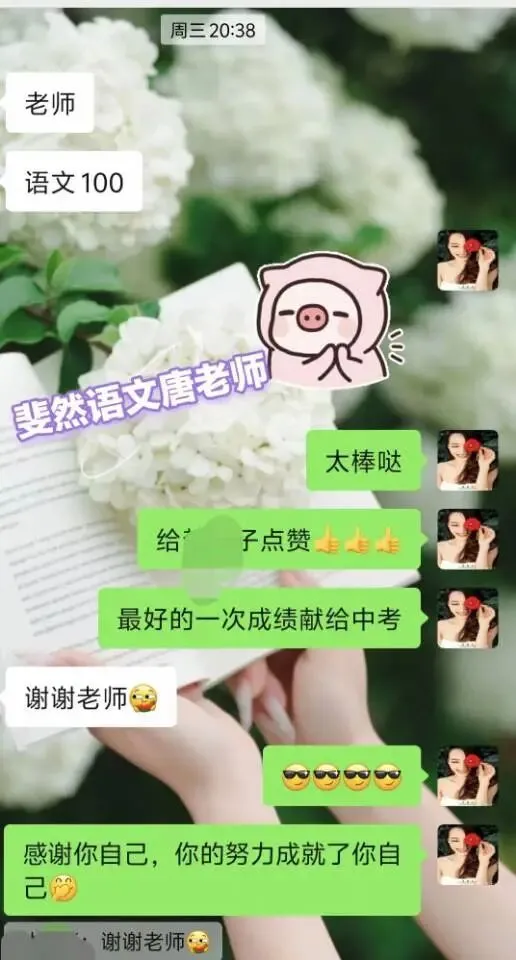 2026长沙中考语文,到底要多少分才能上四大名校? 第3张