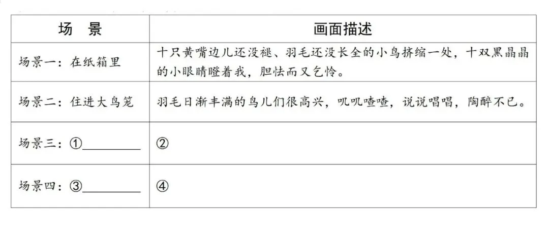 【中考阅读指导】“十姐妹”出走(梁晓声)甘肃武威2025 第3张