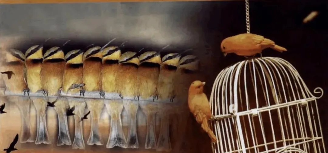 【中考阅读指导】“十姐妹”出走(梁晓声)甘肃武威2025 第4张