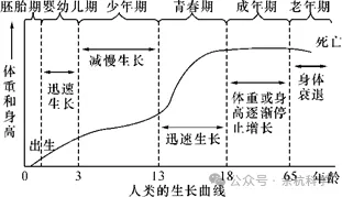 【中考复习】生物专题知识点⑧:生物的生殖和发育 第11张