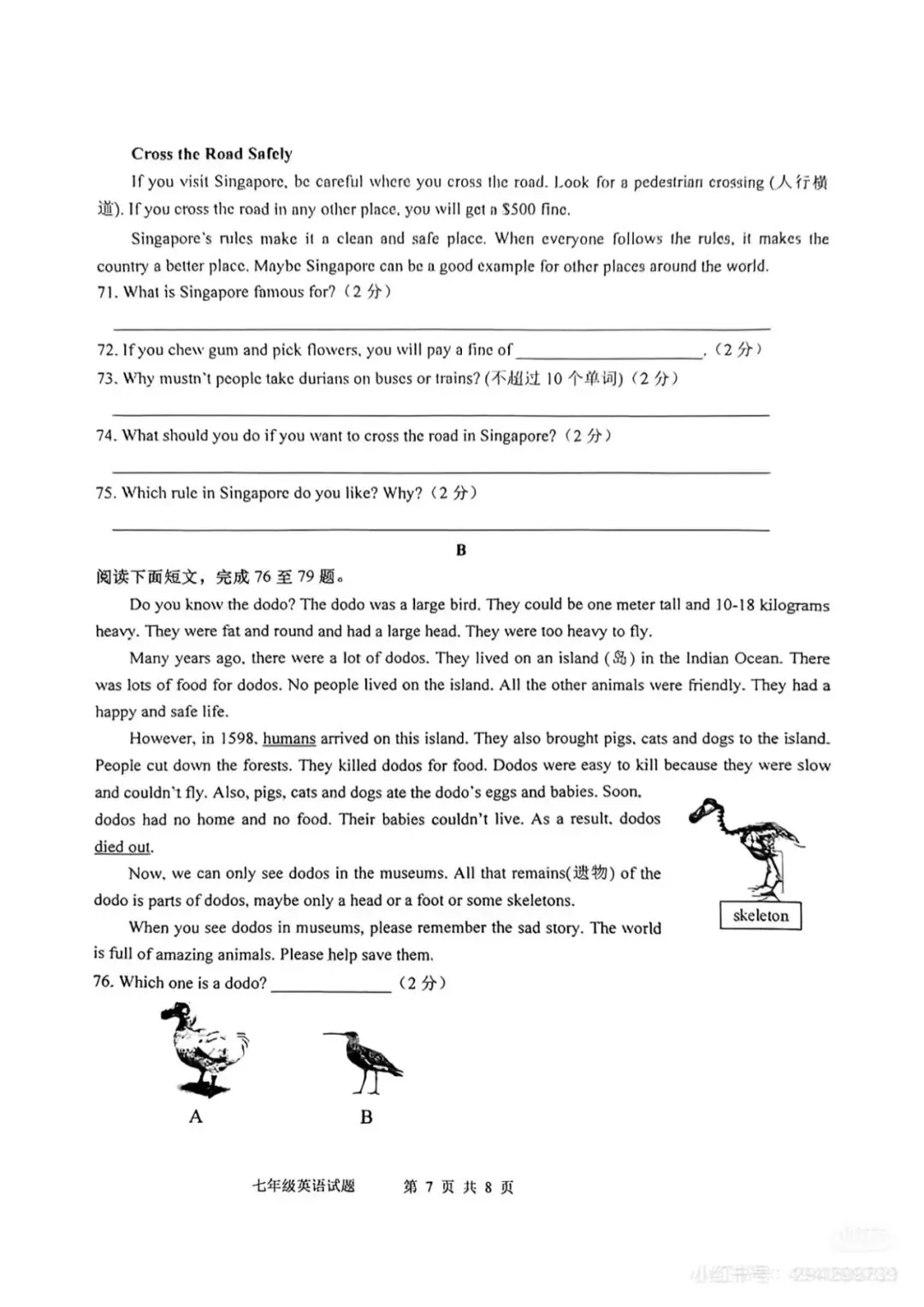 2025城阳七下英语期中考试题 第7张