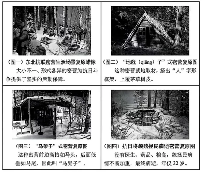 2025年辽宁省中考语文真题 第3张 2025年辽宁省中考语文真题 第3张