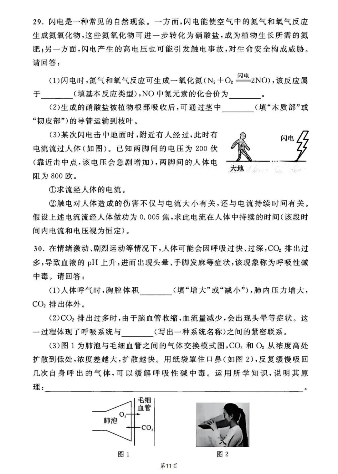 2025年浙江中考科学正式版真题试卷及解析,2017起历年试卷可下载 第12张 2025年浙江中考科学正式版真题试卷及解析,2017起历年试卷可下载 第12张