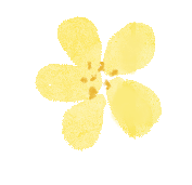 凝心聚力备战中考 砥砺前行再创佳绩 ——锦屏县第四中学开展九年级开学动员大会暨收心教育 第6张