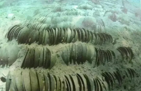 【中考历史 | 百炼成钢】七下第13课 第2张 【中考历史 | 百炼成钢】七下第13课 第2张