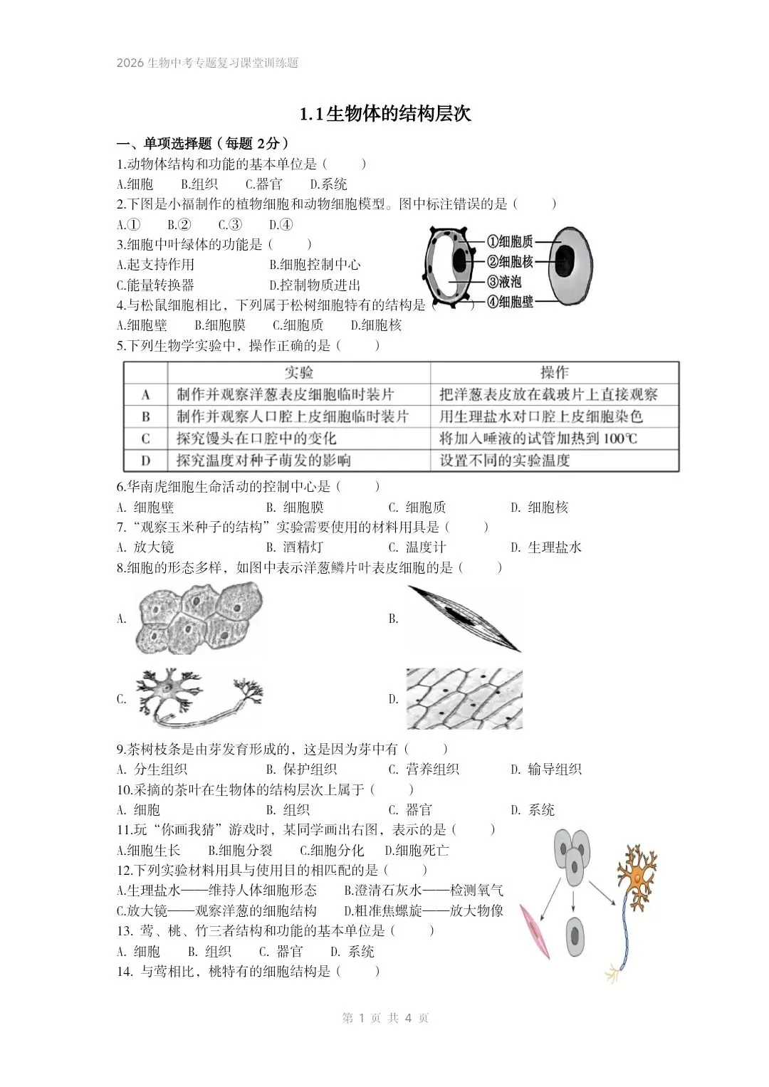 2026生物中考专题复习课堂训练题共7个专题word文档已经做好 专题一生物体的结构层次 部分截图 第2张