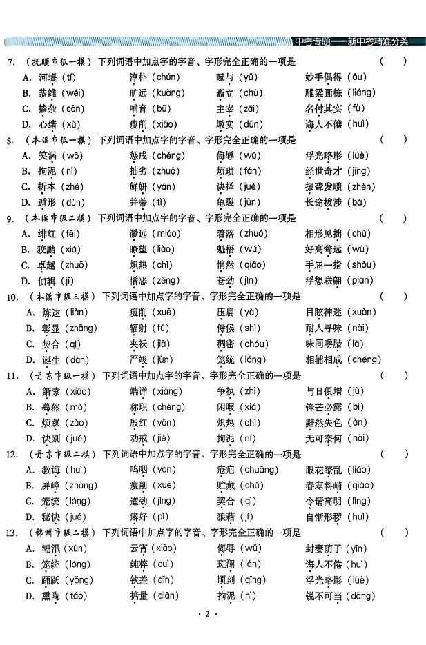 2026版中考语文《精准分类觉醒卷A版》(含答案)|可下载打印 第4张