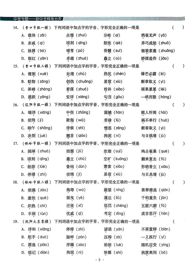 2026版中考语文《精准分类觉醒卷A版》(含答案)|可下载打印 第5张