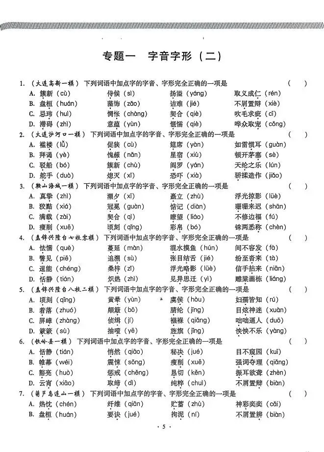 2026版中考语文《精准分类觉醒卷A版》(含答案)|可下载打印 第7张