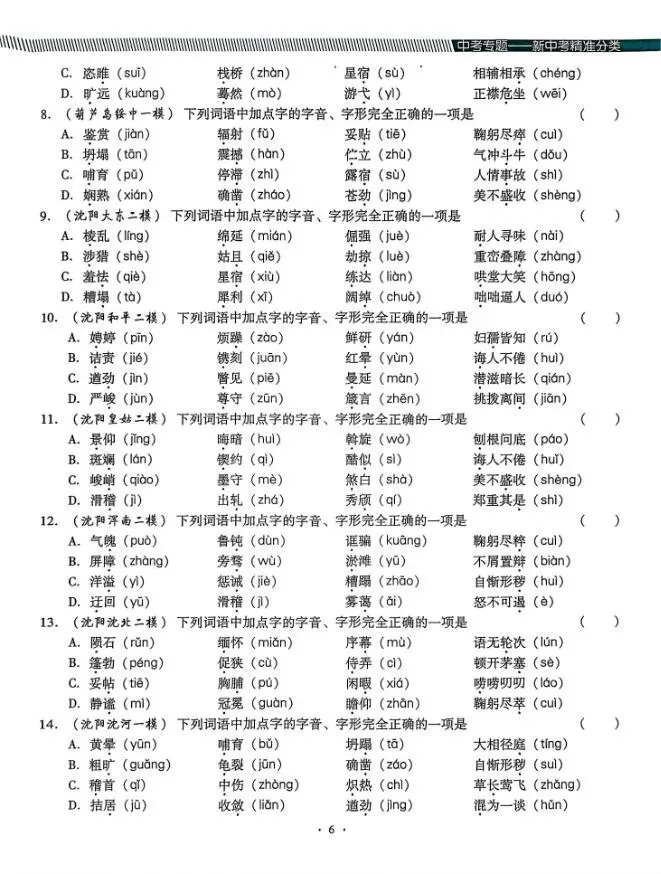 2026版中考语文《精准分类觉醒卷A版》(含答案)|可下载打印 第8张