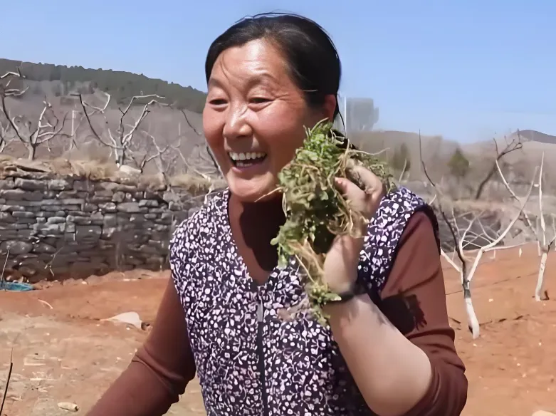 中考作文素材 | 沂蒙二姐吕玉霞 第9张