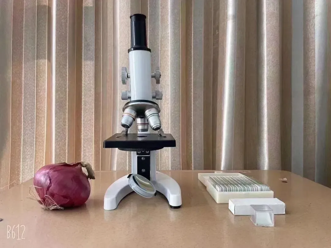 2026届中考科学实验操作(实操) 第5张 2026届中考科学实验操作(实操) 第5张