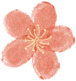 重磅!美育从兴趣升级国家战略,中考计分落地,全面育人新时代到来 第54张